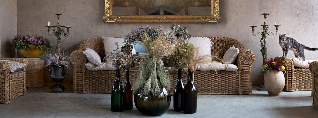 Roussillon en Isere Domaine D'Egeniaヴィラ エクステリア 写真