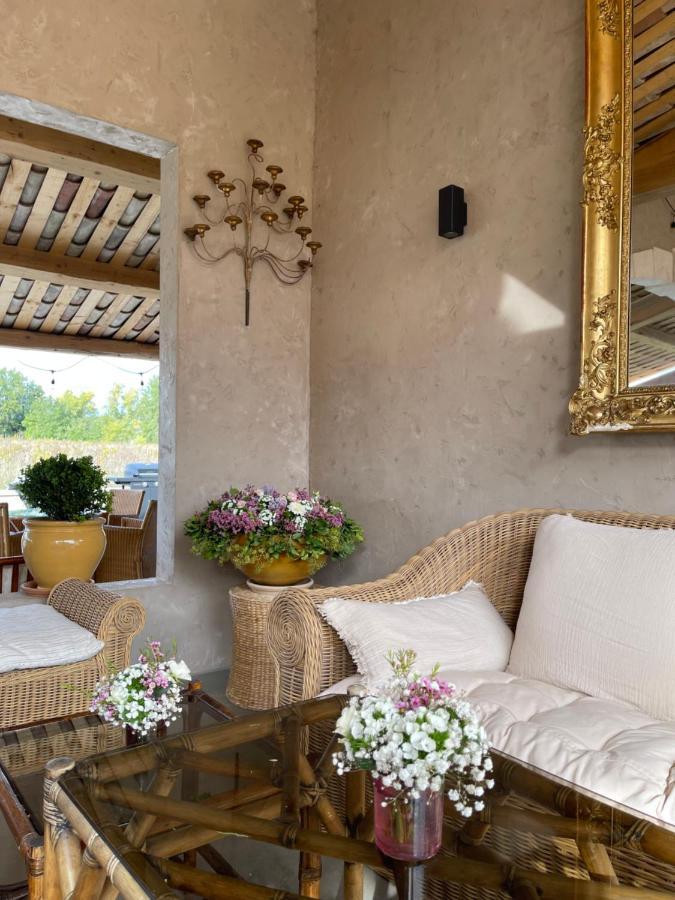 Roussillon en Isere Domaine D'Egeniaヴィラ エクステリア 写真