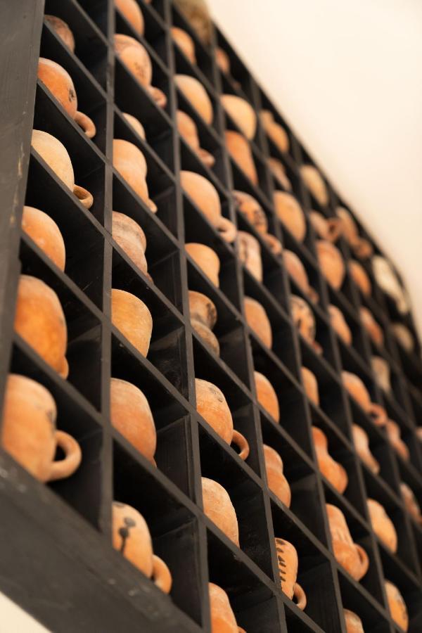 Roussillon en Isere Domaine D'Egeniaヴィラ エクステリア 写真