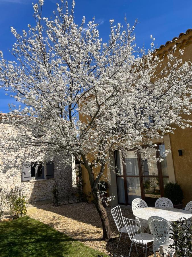 Roussillon en Isere Domaine D'Egeniaヴィラ エクステリア 写真