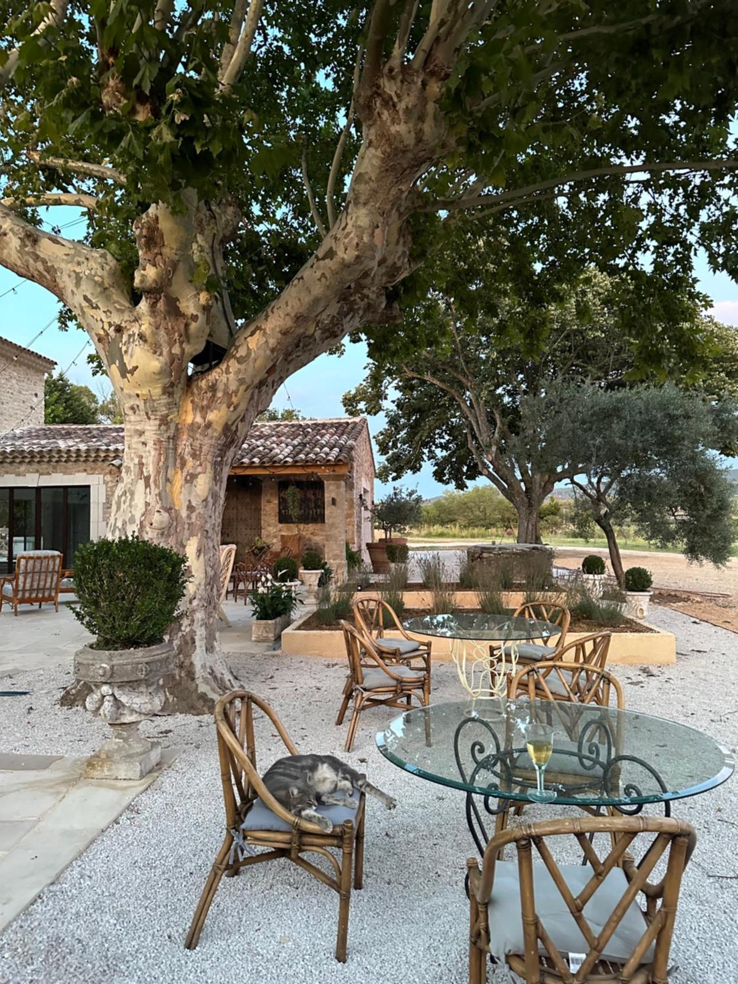 Roussillon en Isere Domaine D'Egeniaヴィラ エクステリア 写真
